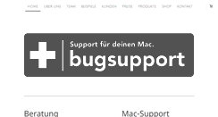 Desktop Screenshot of bugsupport.de